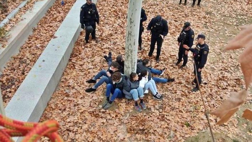 Talas masivas en Madrid por las obras de Ayuso en la línea 11 de Metro: vecinos se encadenan a los árboles y son desalojados