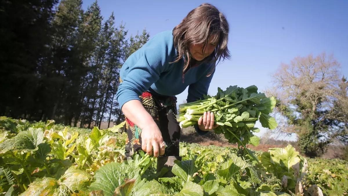 Una mujer trabajando en el campo.