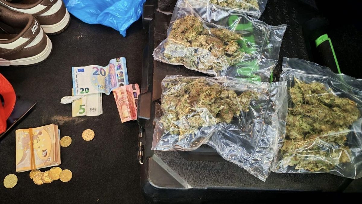 Detienen a un hombre de 34 años con marihuana, cocaína y 1.300 euros en efectivo en San Andrés del Rabanedo