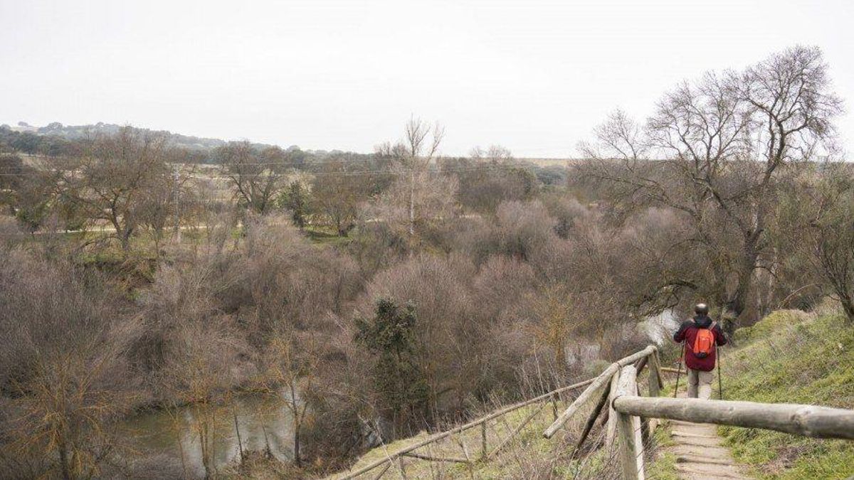 Fiestas de El Pardo 2026 con DJs, muestra de vehículos históricos o paseo por el Manzanares: programa completo
