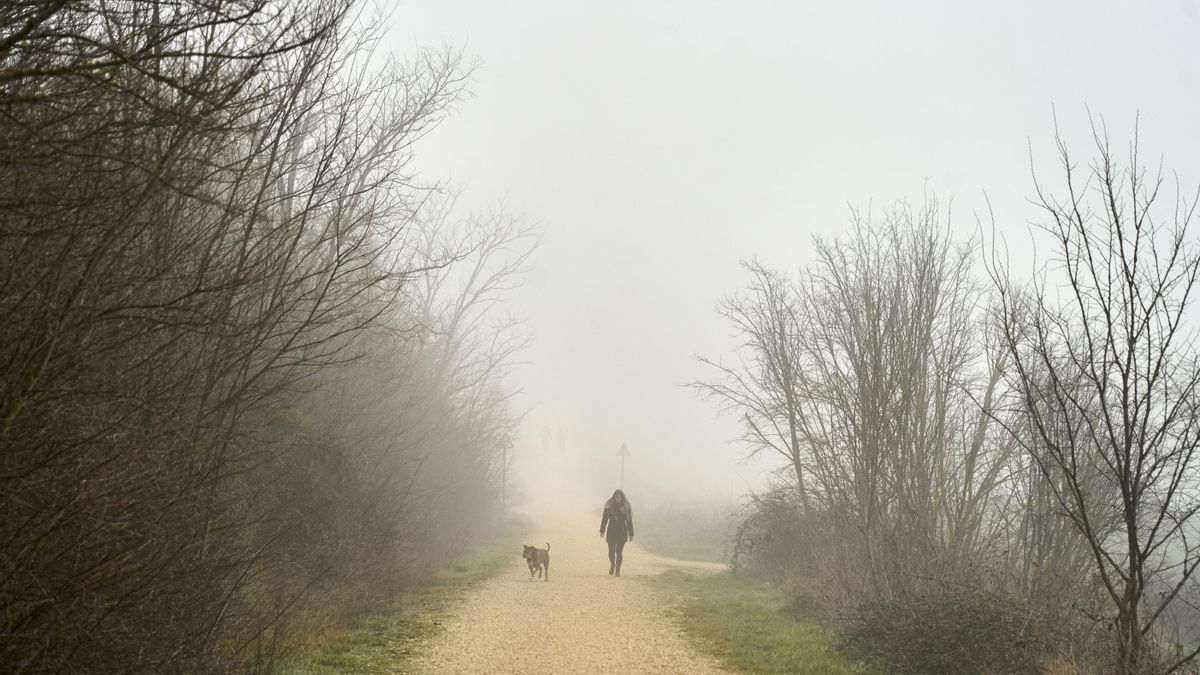 Continúa la niebla y siguen bajando las temperaturas en La Rioja