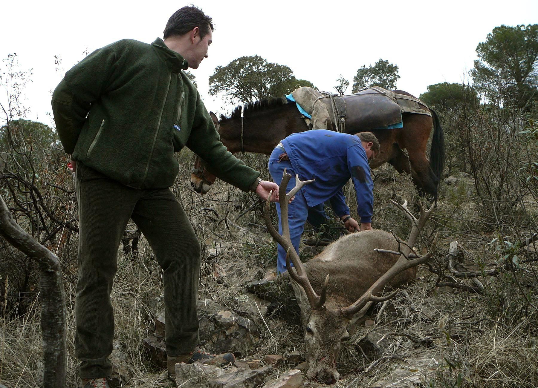 Una montería en Almuradiel (Ciudad Real).