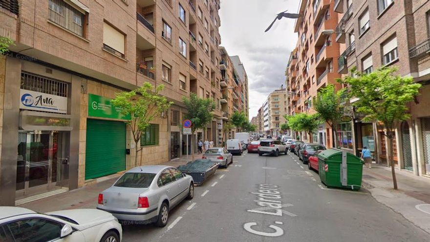El PSOE pide que no se eliminen los árboles de la calle Lardero de Logroño