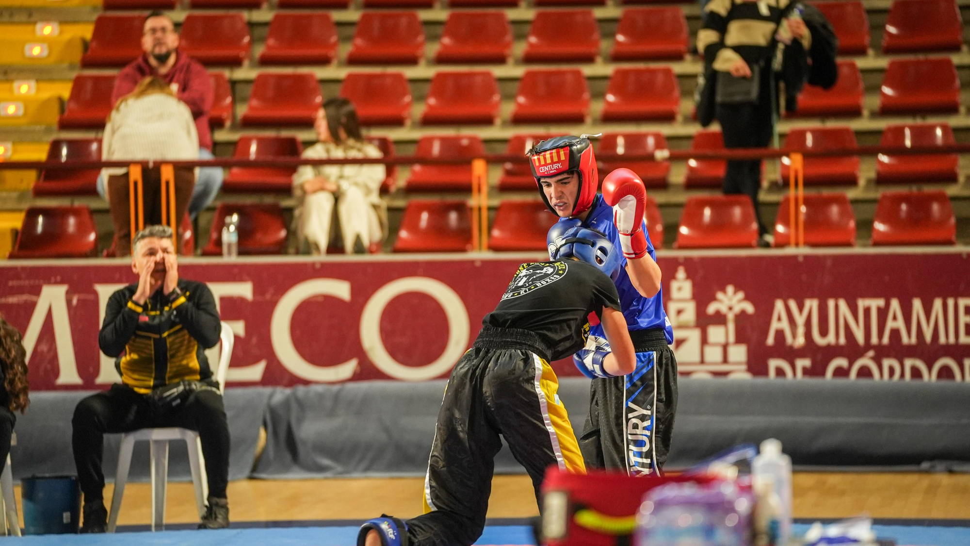 Kickboxing Stars League