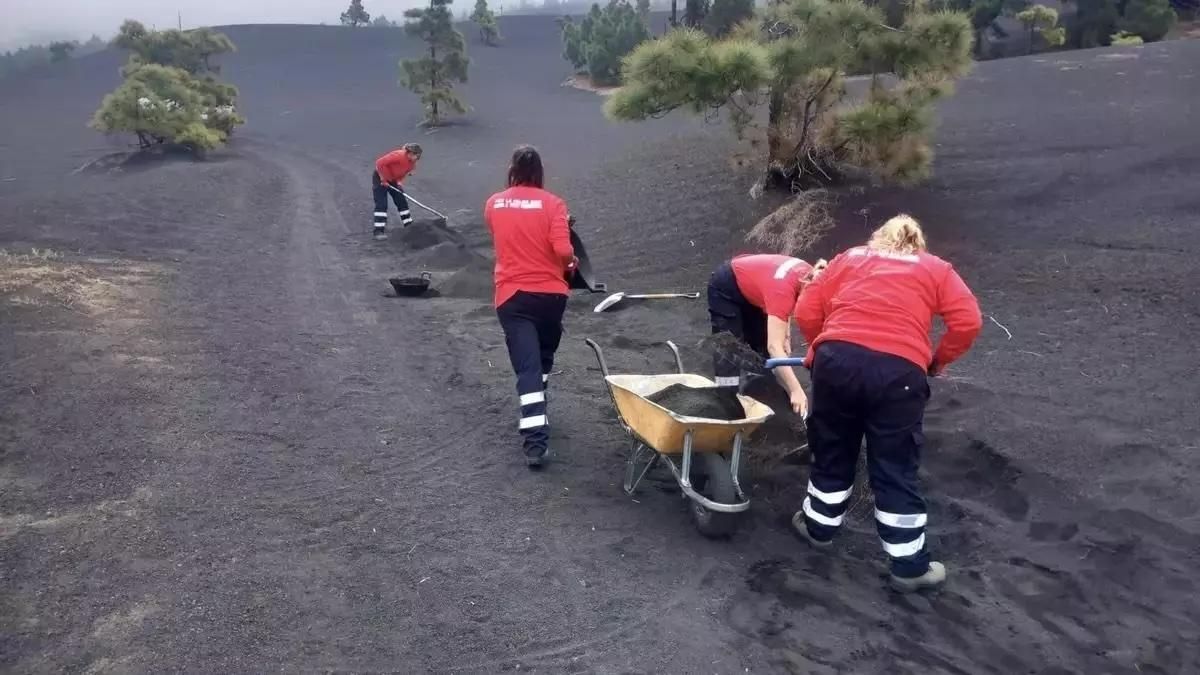 El paro  aumenta en La Palma un 0,5% en agosto y afecta a 5.828 personas