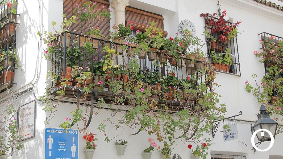 Rejas y Balcones en la C/ Puerta de Almodovar, 7