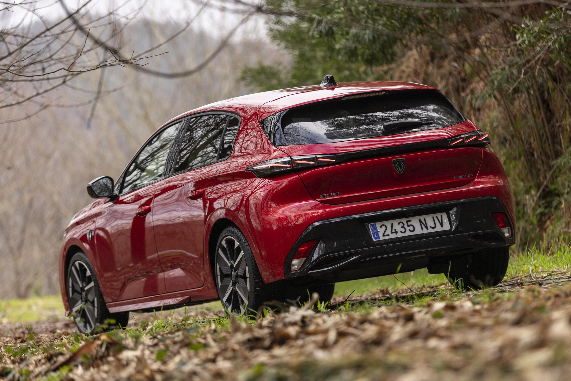 Vista lateral y trasera del 308 'hatchback'.