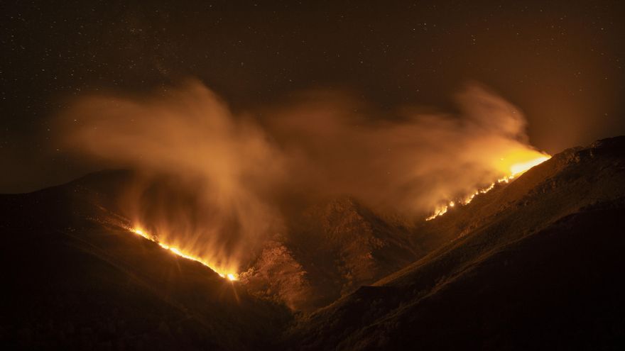 Las 350.000 hectáreas quemadas en España en 2025 resurgen en ARCO para visibilizar la crisis climática del planeta