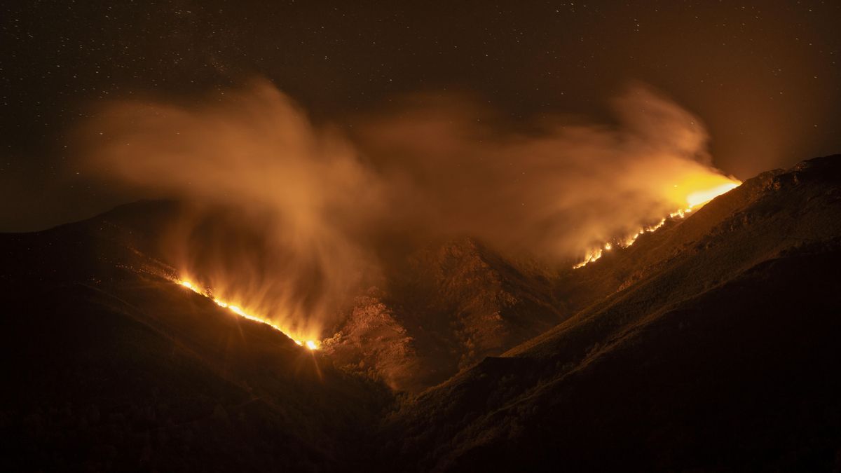 Las 350.000 hectáreas quemadas en España en 2025 resurgen en ARCO para visibilizar la crisis climática del planeta