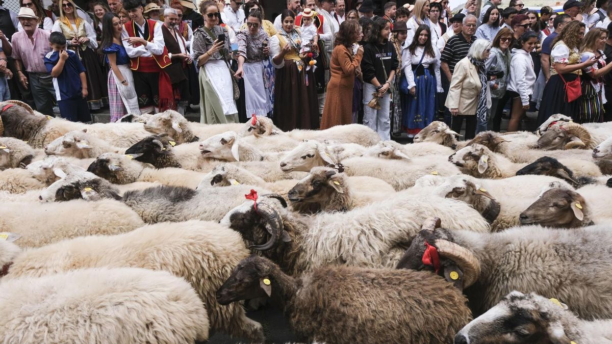 Tradicional romería de Tegueste en Tenerife. (EFE)