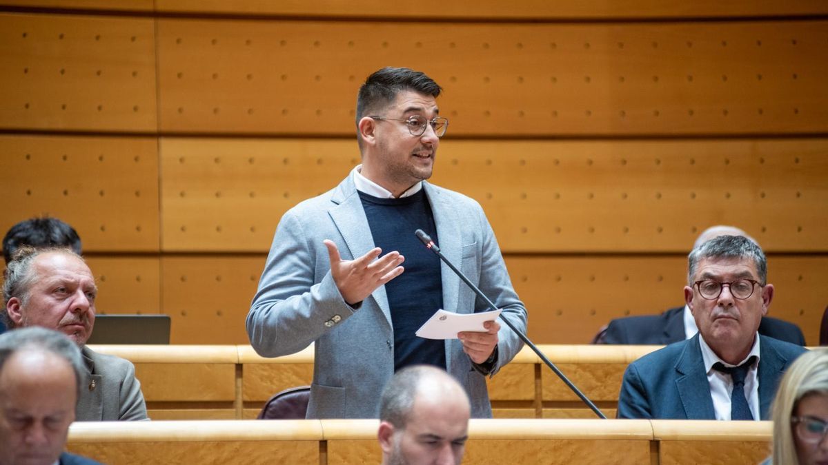 La Agrupación Socialista Gomera exige al Estado medidas para evitar "el abuso de precios" en los vuelos a Canarias en Navidad