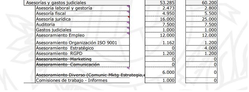 Presupuesto del COGITI en "asesorías y gastos judiciales" correspondientes a los años 2024 (columna de la izquierda) y de 2025.