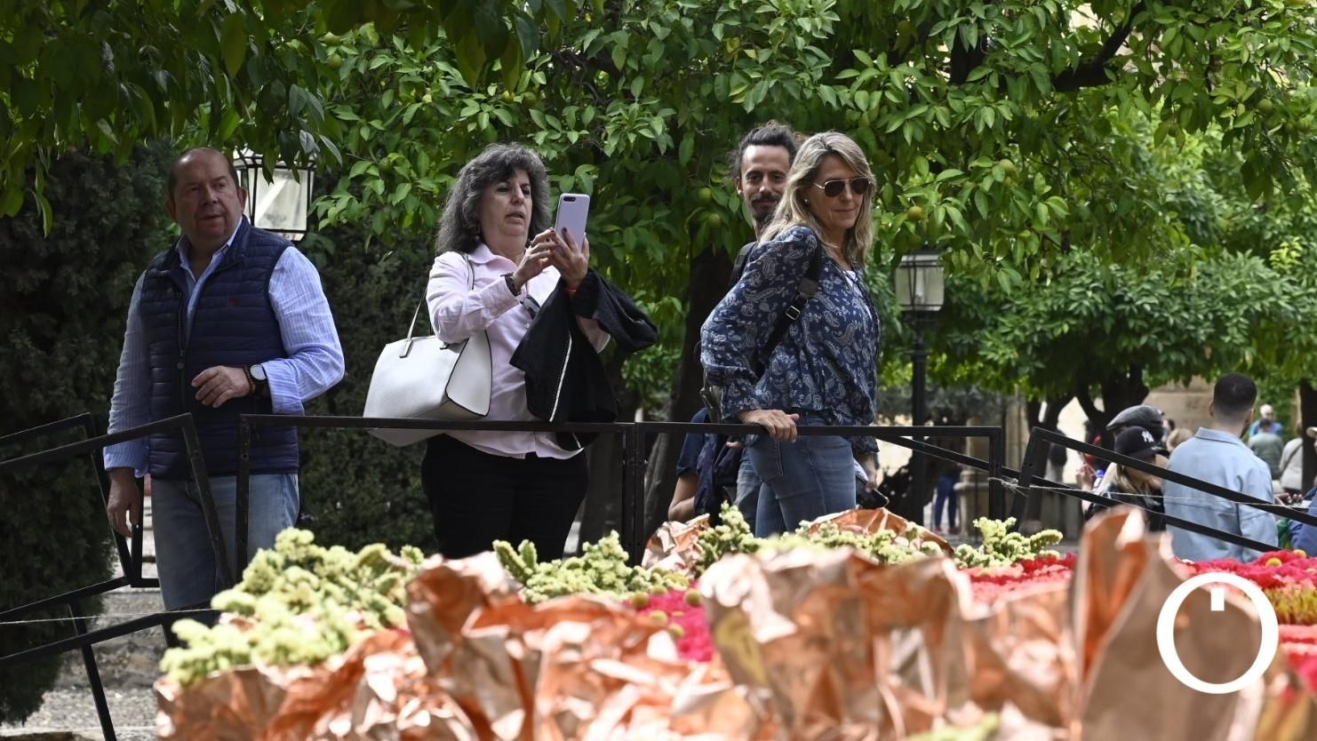 Flora 2023 - Harriet Parry