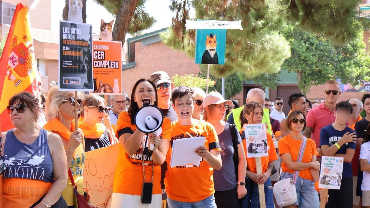 Algunos participantes en la concentración por las colonias felinas en Azuqueca de Henares