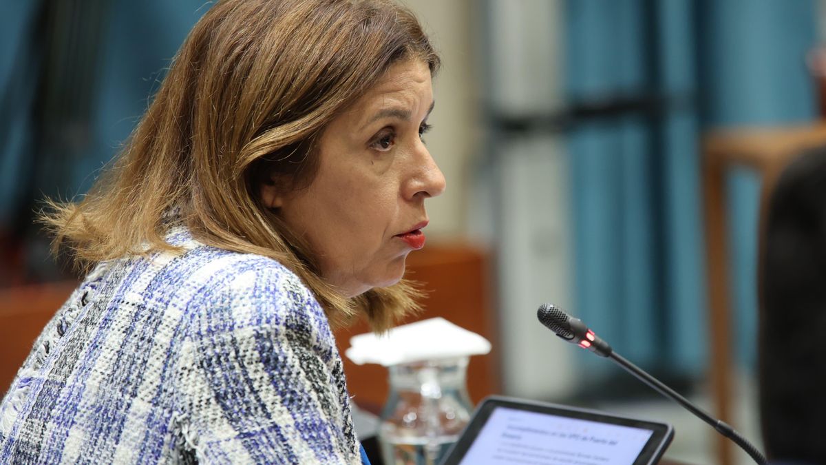 Carmen Hernández, diputada de Nueva Canarias en el Parlamento regional