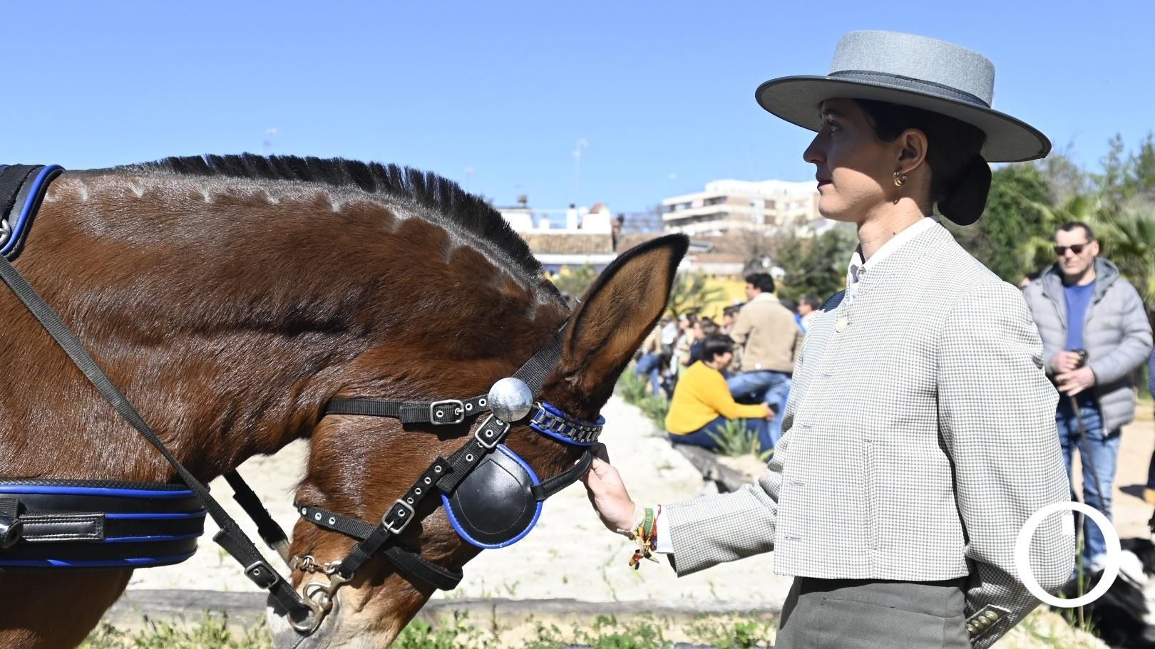 Marcha hípica por el día de Andalucía