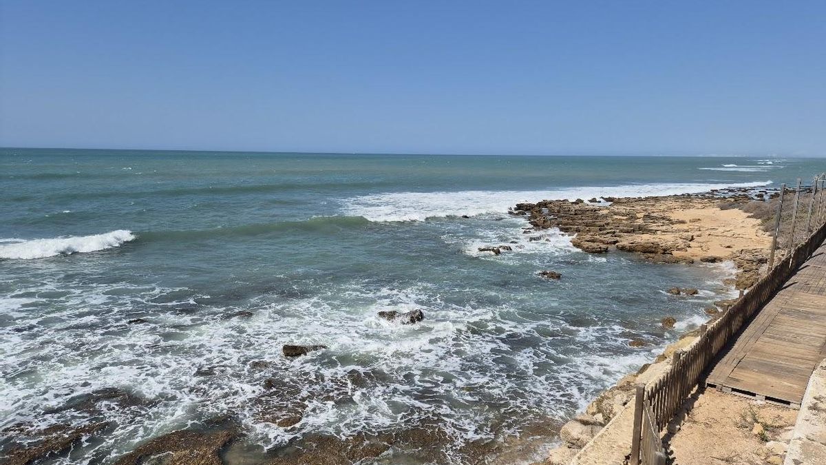 Mismo sitio, parte posterior, un rato después