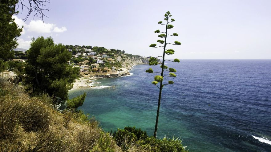 Seis rutas de senderismo en Alicante para desconectar en plena naturaleza
