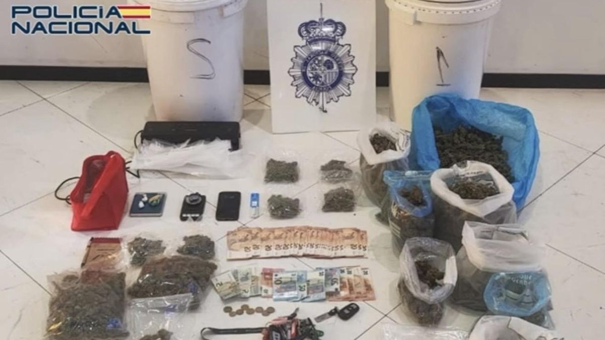 Droga incautada al detenido en su domicilio en Trobajo del Camino.
