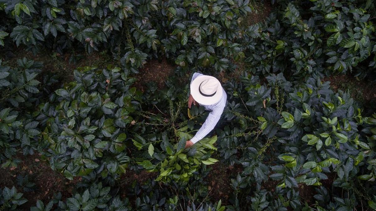Juan Valdez impulsa su expansión en España como una alianza estratégica con Grupo Lux Internacional