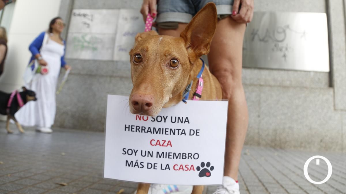Protesta ante la sede del PSOE en Córdoba por excluir a los perros de caza de la Ley de Protección Animal