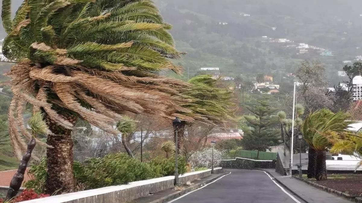 Imagen de archivo de un día de lluvia y viento en La Palma