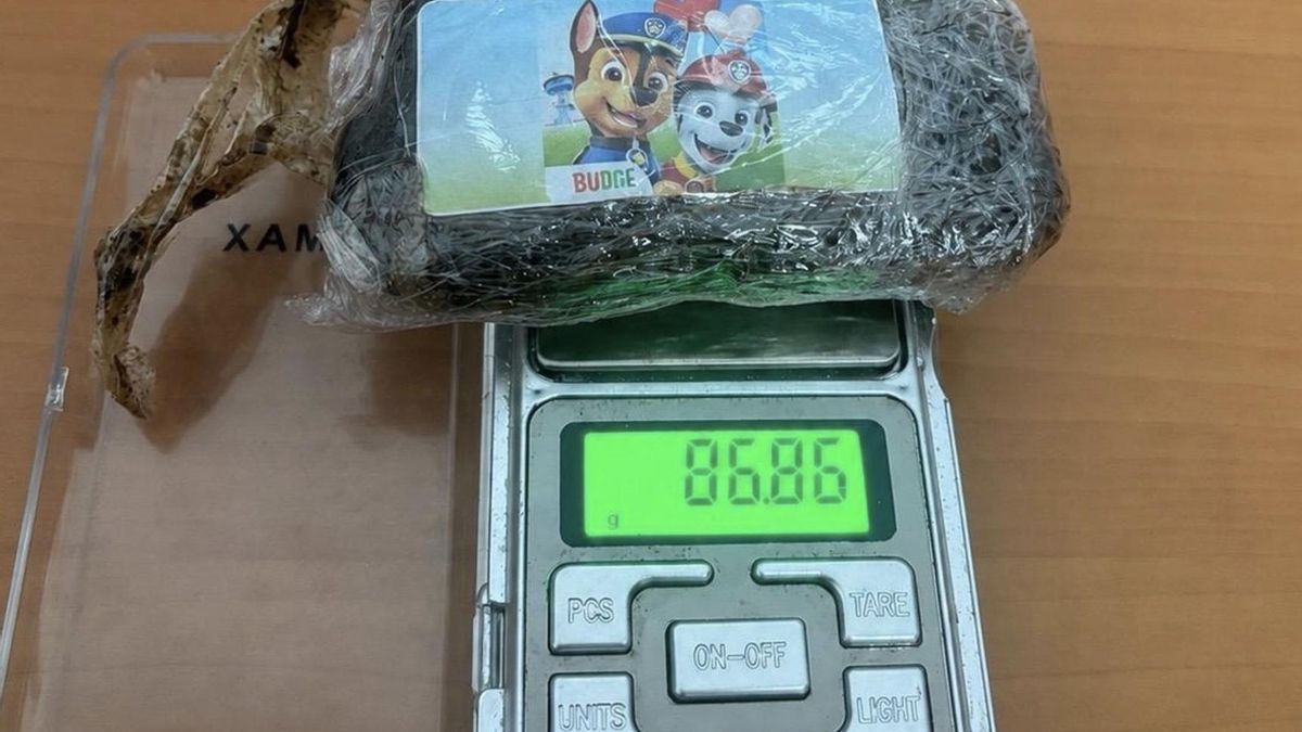 Detenido tras descubrirle con una placa de hachís de 'La patrulla canina' en el parque de Santa Catalina