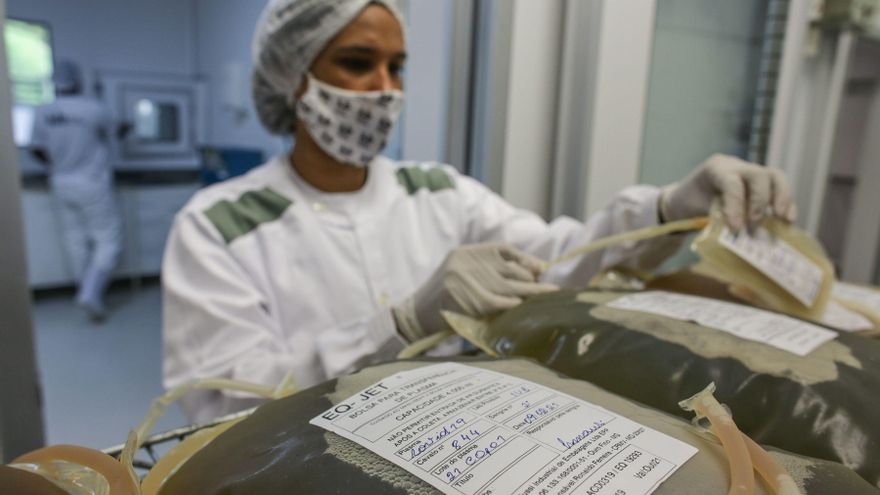 Una experta revisa bolsas con plasma sanguíneo de caballo utilizadas en una investigación sobre coronavirus, el 26 de abril de 2021 en la Granja Vital Brazil de Niterói (Brasil).  EFE/ André Coelho