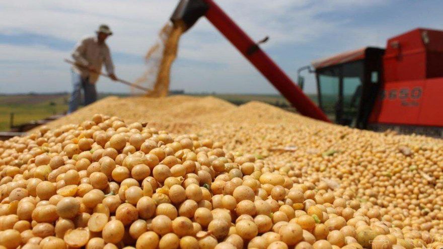 La campaña de soja puede ser la más baja en 14 años a causa de la sequía