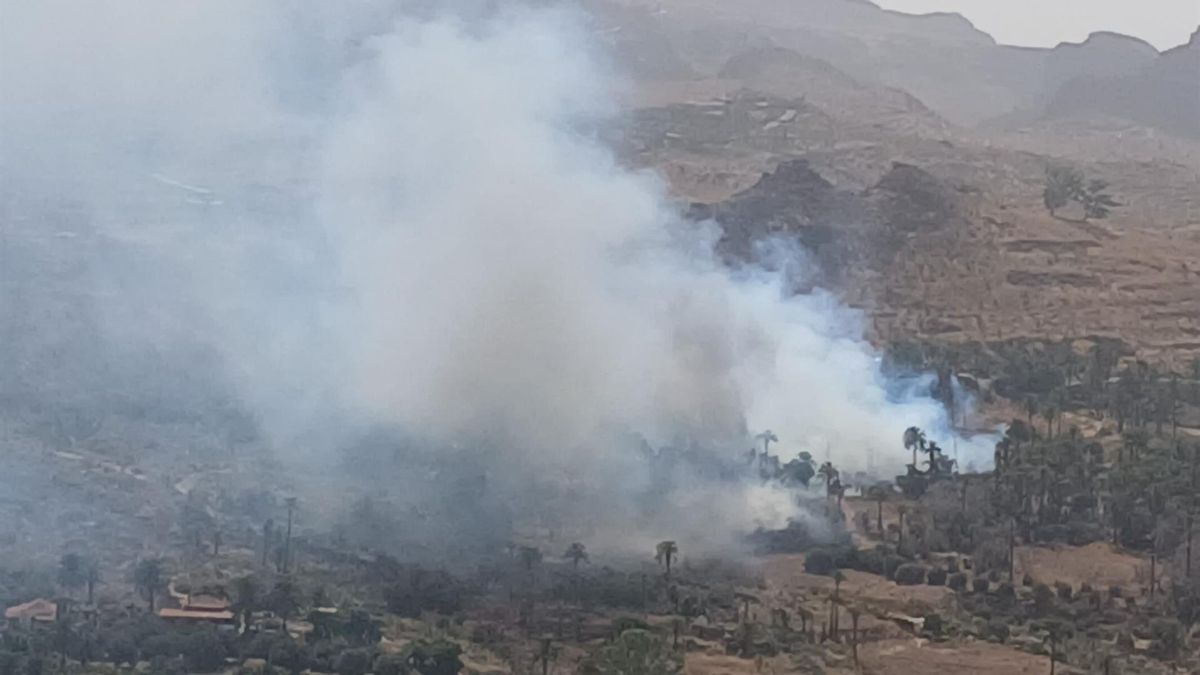 Controlado el incendio en Santa Lucía: hay entre 1 y 2 hectáreas afectadas de palmeral y fincas