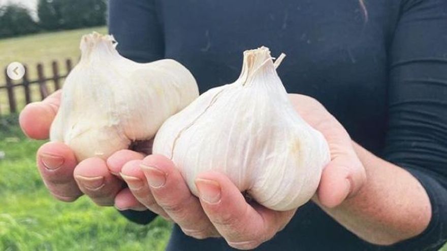 Cómo lograr que una cabeza de ajo del supermercado nos dure eternamente