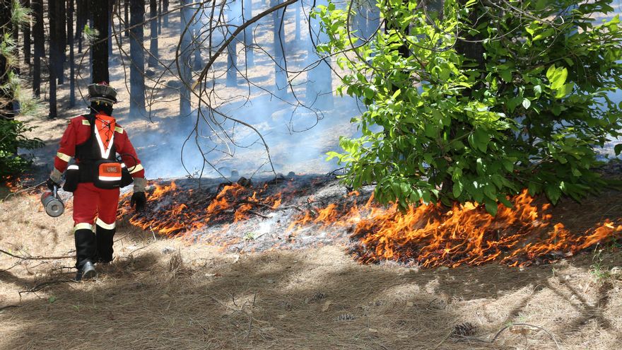 Quemas controladas en Gran Canaria.