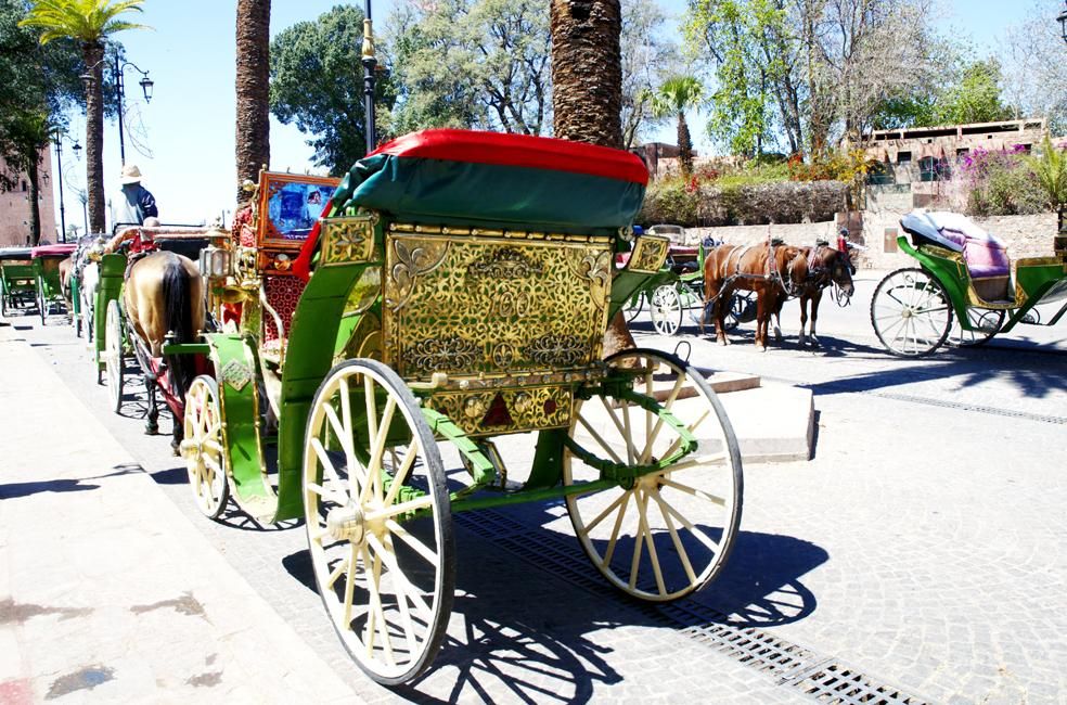 Una de las atracciones que ofrece la Ciudad Roja son los paseos en calesa por la Medina