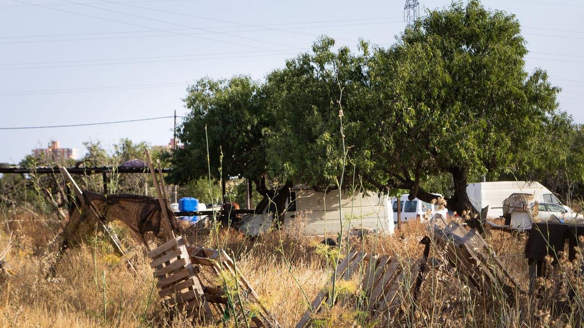 La tanca que encercla la finca està mig ensorrada en un extrem