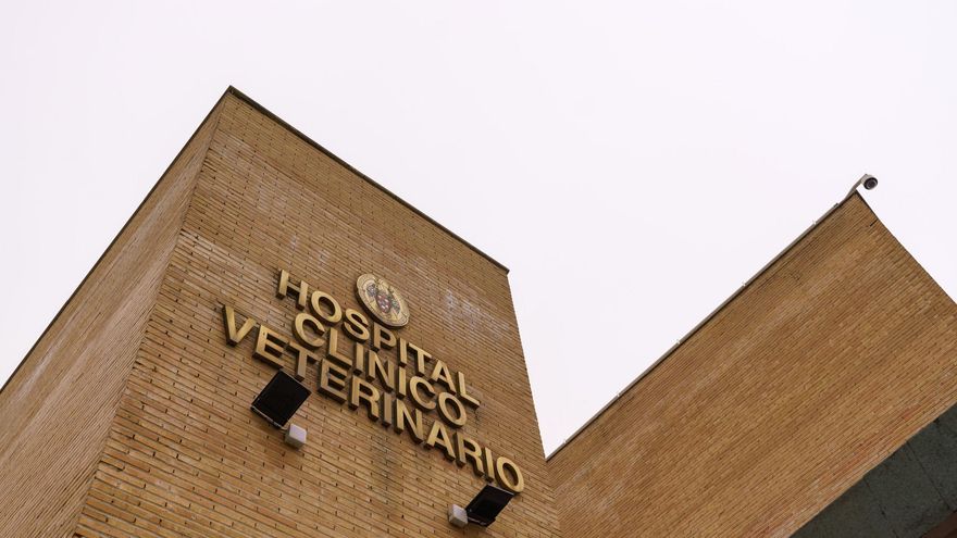 Los recortes en la Complutense ahogan a su Hospital Clínico Veterinario y obligan a suspender la atención