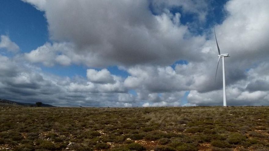 Hábitat de la alondra junto a parque eólico