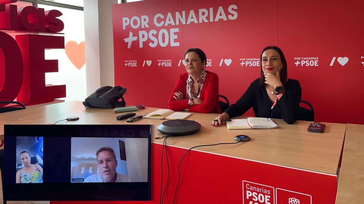 Las socialistas Nira Fierro y Maribel Santana, secretarias regionales de Organización y de Vivienda, respectivamente, y Patricia Hernández, portavoz en la materia del Grupo Parlamentario Socialista, han mantenido un encuentro con el director territorial de Provivienda en Canarias, Fernando Rodríguez.