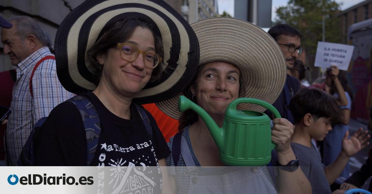 “Más hinojos y menos desalojo”: Tetuán aprueba que La Huerta de Tetuán se quede mientras no haya obras en el solar