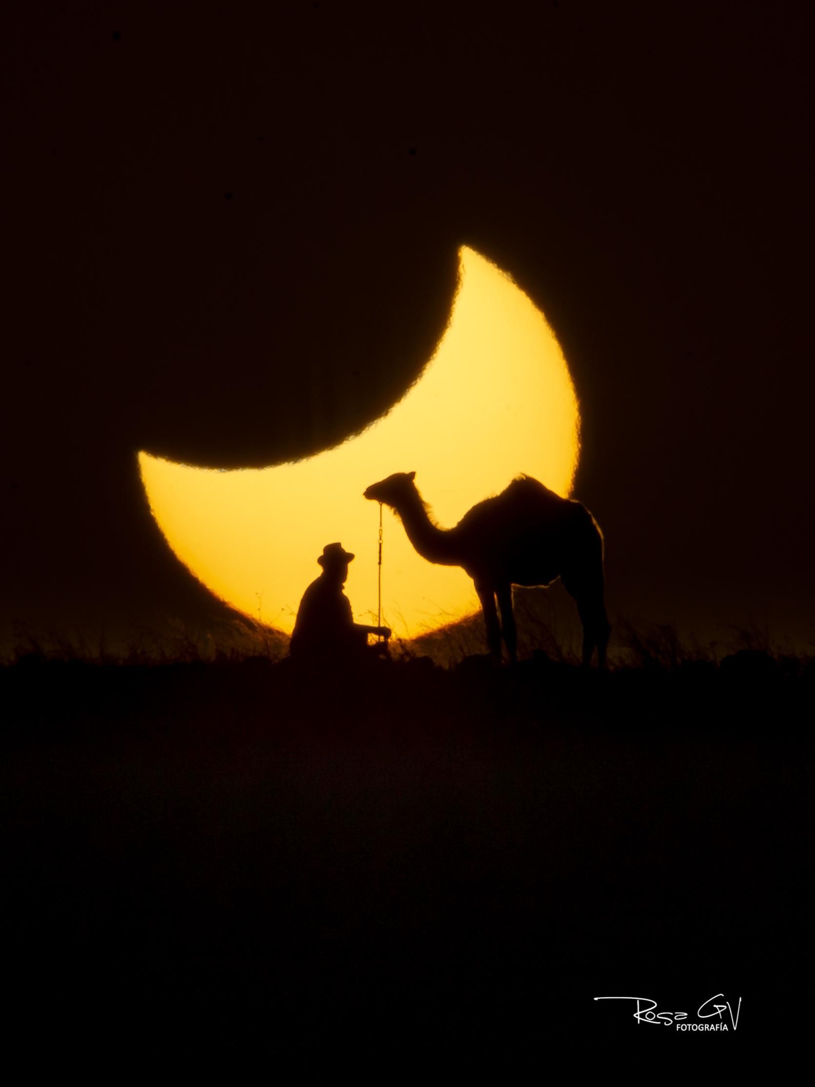 Camello y camellero durante el eclipse solar del díaa 12 de Agosto de 2026.