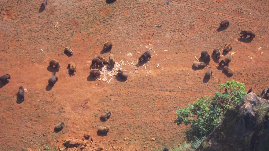 Recinto osos Cabárceno visto desde la telecabina.