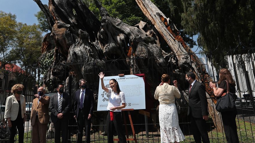 México convierte en "victorioso" el árbol donde Cortés lloró amargamente