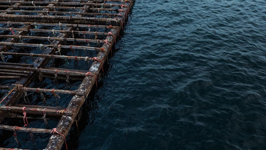 La Plataforma en Defensa da Ría de Arousa pide clausurar "ya" el punto de vertido de dragados de la isla de Sálvora