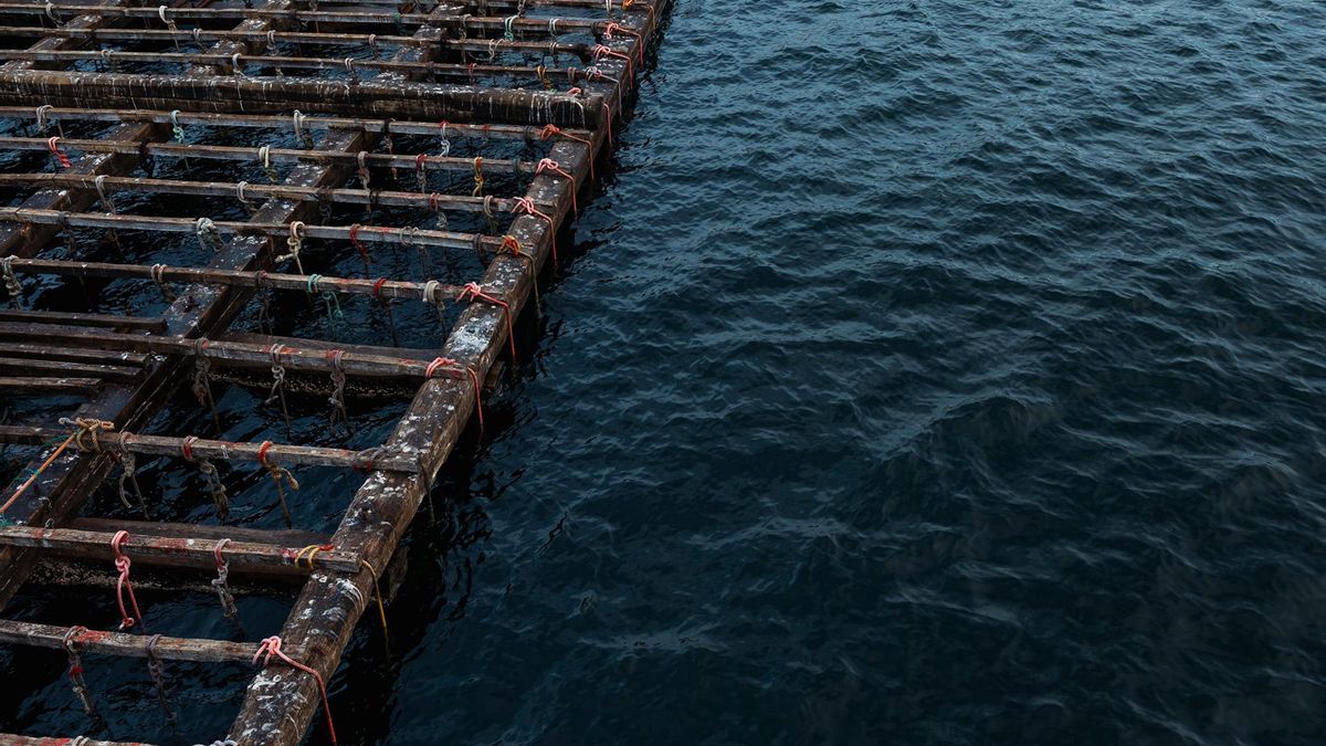 La Plataforma en Defensa da Ría de Arousa pide clausurar "ya" el punto de vertido de dragados de la isla de Sálvora