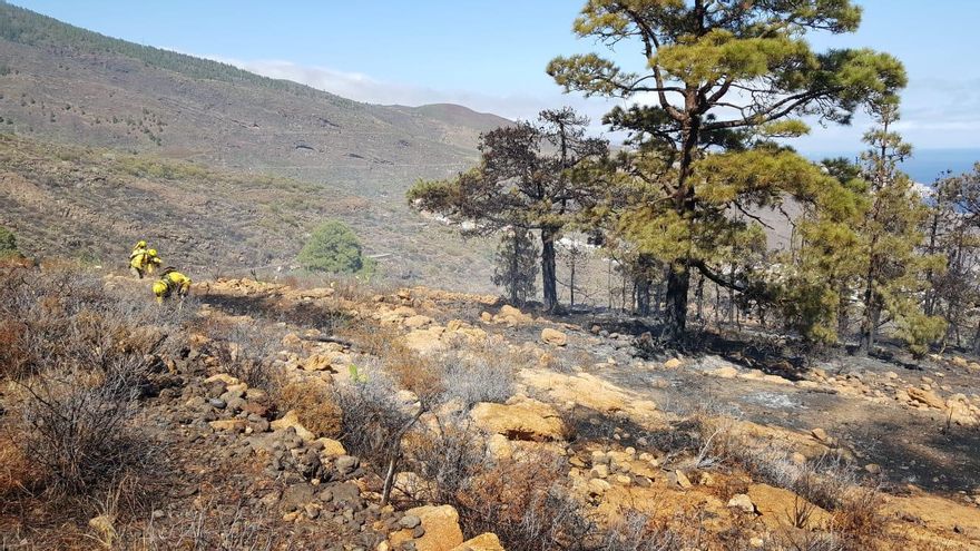 Estabilizado el incendio forestal originado este domingo en Candelaria