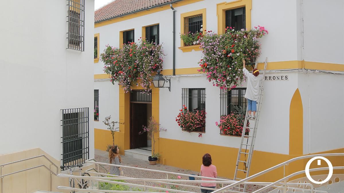 Rejas y Balcones en la C/ Terrones, 8