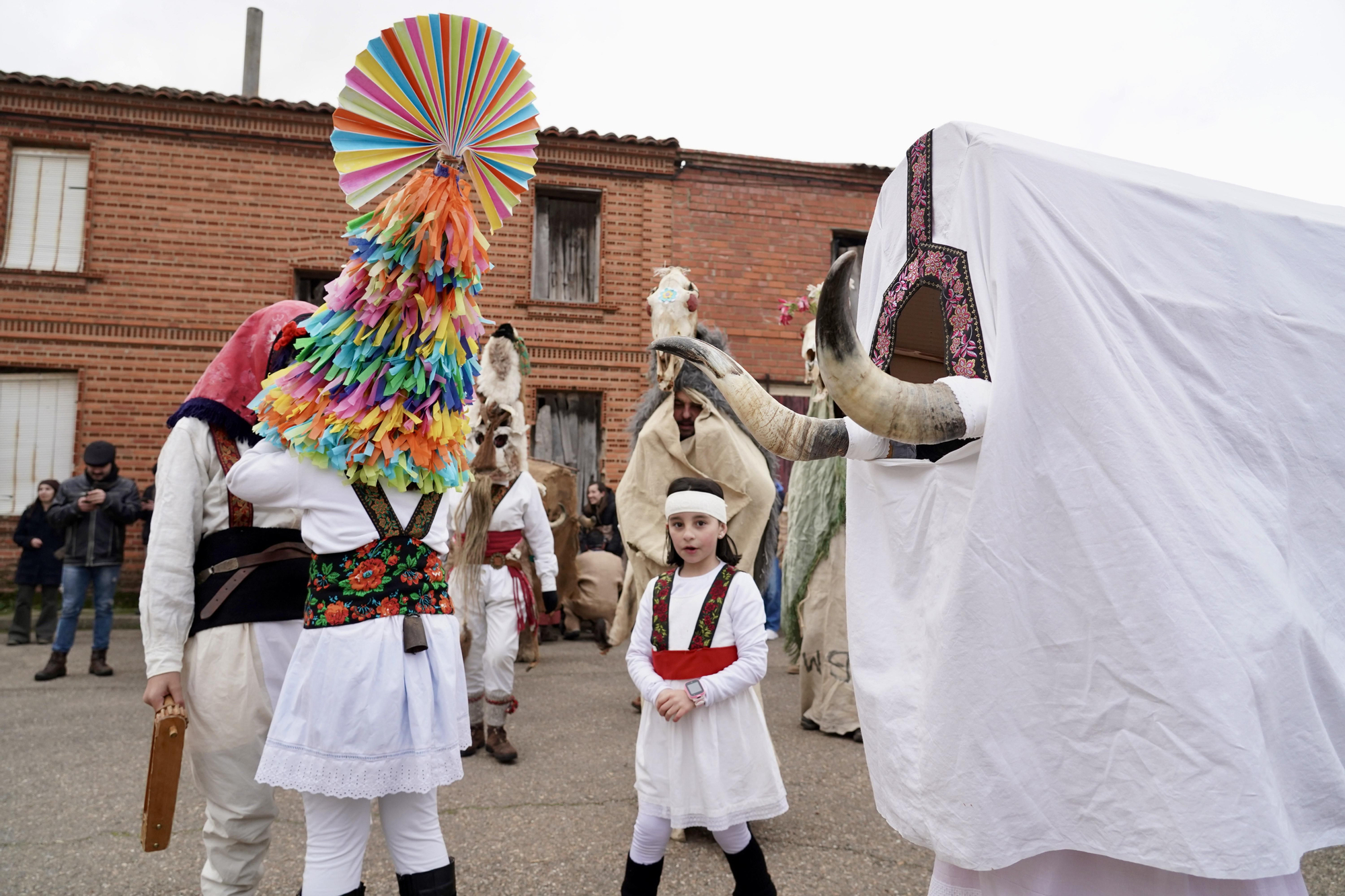 Toros y guirrios del antruejo en Velilla de la Reina