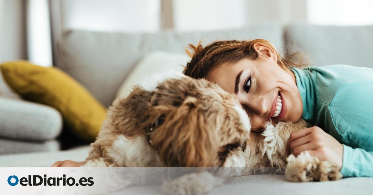 Declaración de la Renta 2025: esta es la comunidad autónoma que ofrece una deducción por tener una mascota