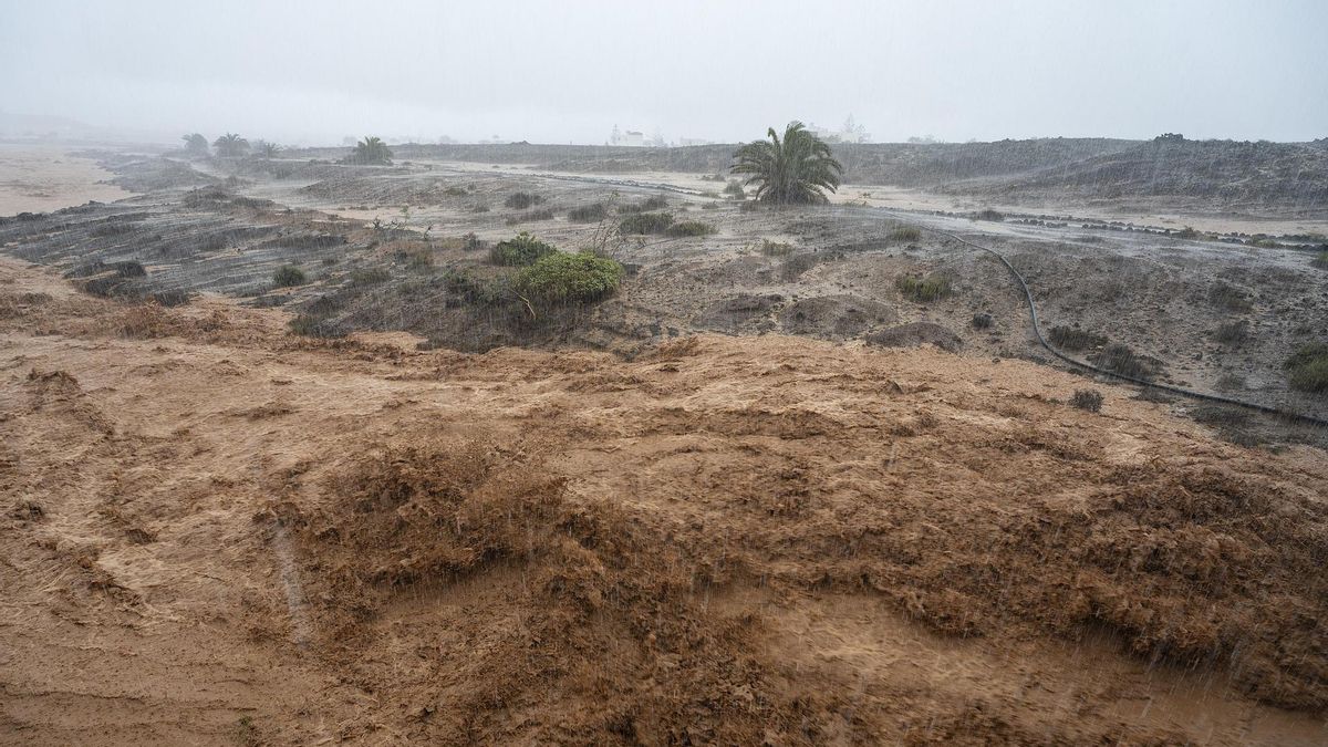 El agua corre por un barranco en Lanzarote tras la tromba de agua caída este sábado.