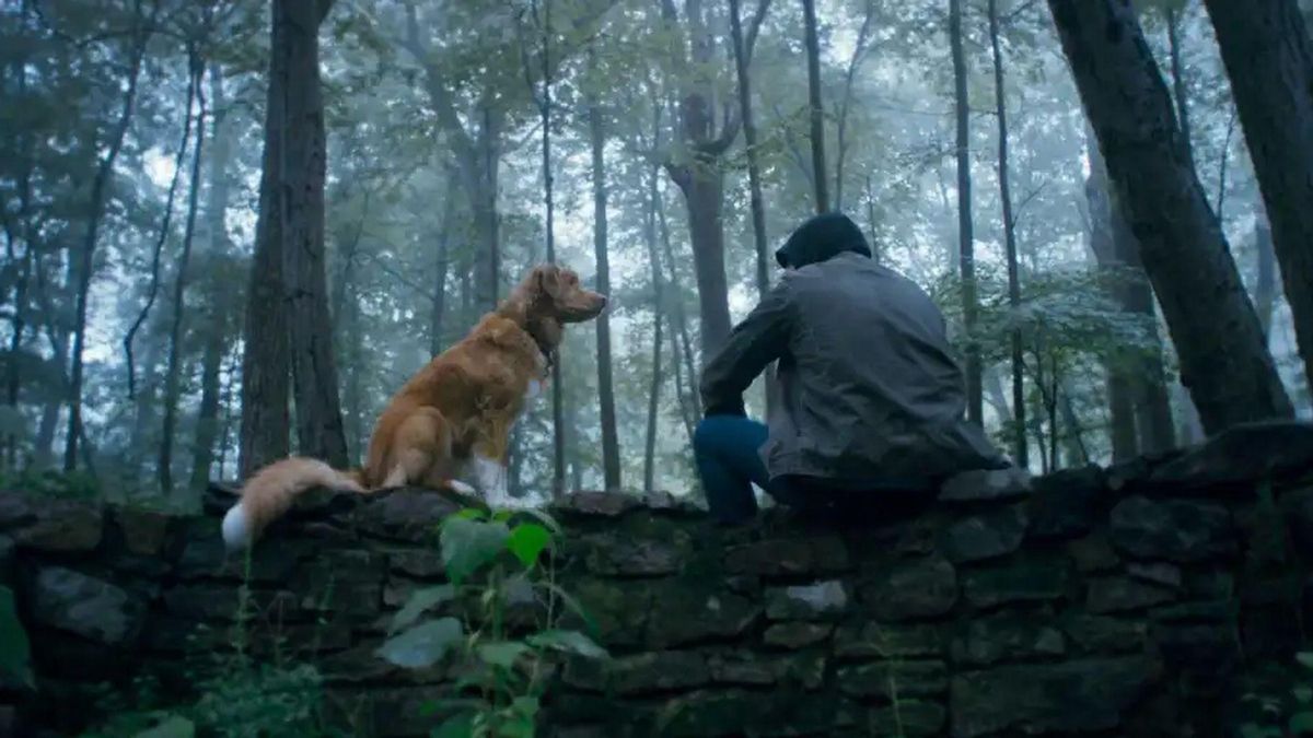 ‘Good Boy’, la película de terror protagonizada por un perro que quiere ser melancólica y reflexiva más allá del meme
