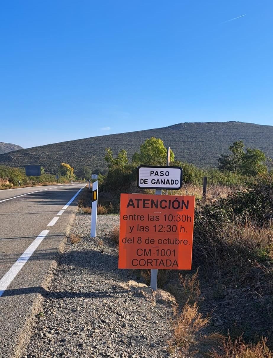 Carteles de la movilización